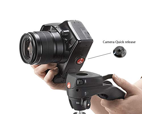 Manfrotto Compact Solid Aluminum Compact Quick Release Plate For Compact Action Tripod, Black (Round Pl)